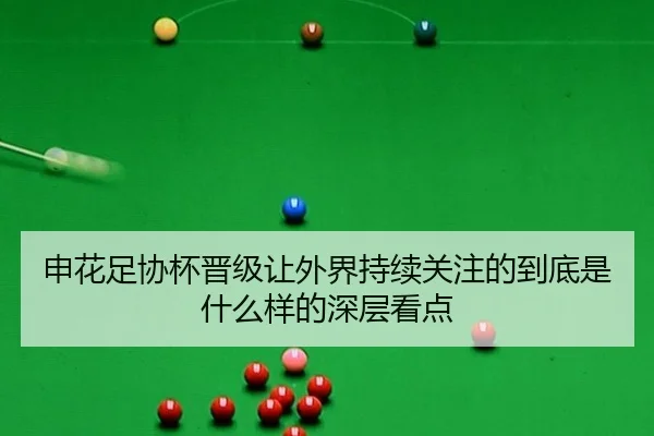 申花足协杯晋级让外界持续关注的到底是什么样的深层看点