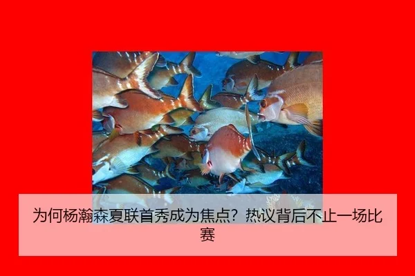 为何杨瀚森夏联首秀成为焦点？热议背后不止一场比赛